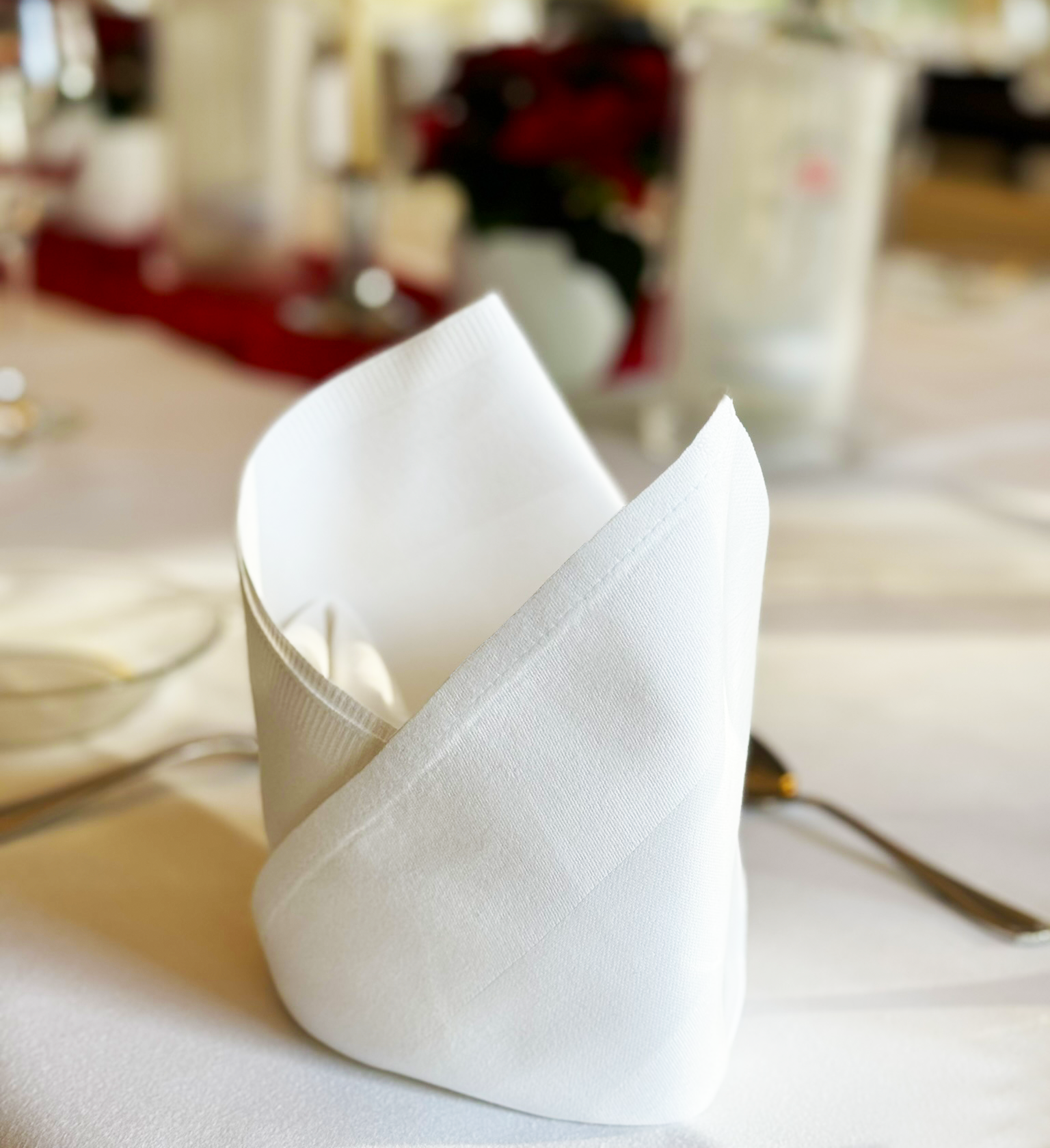 Gastro-Servietten-Atlasstreifen